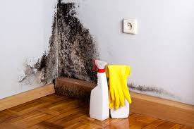 Best Mold Remediation for Healthcare Facilities  in Waverly, NY